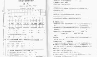 九年级期中考试各科满分是多少